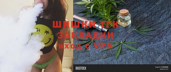 сатива Богородицк