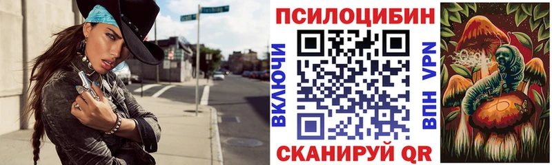 Псилоцибиновые грибы Cubensis  Дрезна 